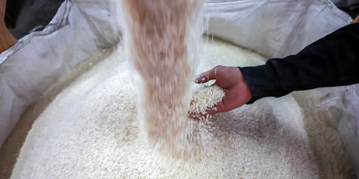 Iran Tensions Prompt Asian Rice Exporters to Pivot Towards New Markets