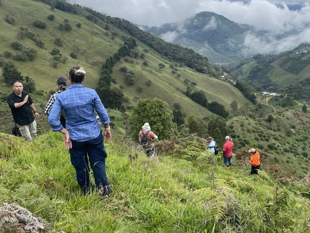 Royal Road Minerals’ Guintar Project in Colombia Shows Promise for Bulk-Tonnage Underground Mining
