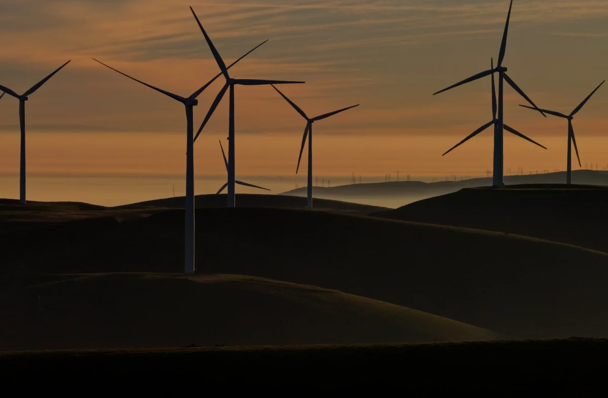 White House Pays TotalEnergies $1 Billion to Halt Offshore Wind, Pivots to LNG Production