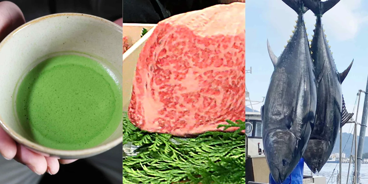 Japanese Exports to the Middle East Face Steep Decline Amidst Iran Conflict