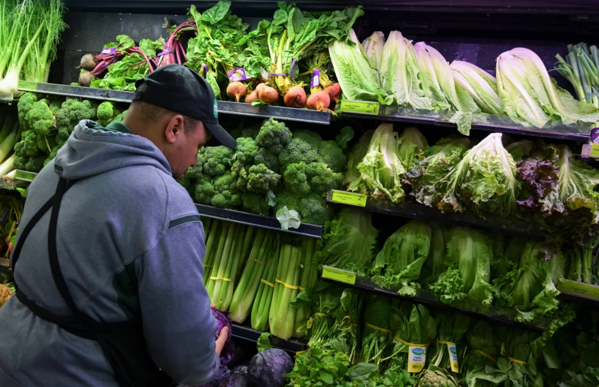 Lettuce Market in Turmoil: Record Price Plunge Follows Cyclospora Outbreak as Food Safety Concerns Drive Consumer Exodus