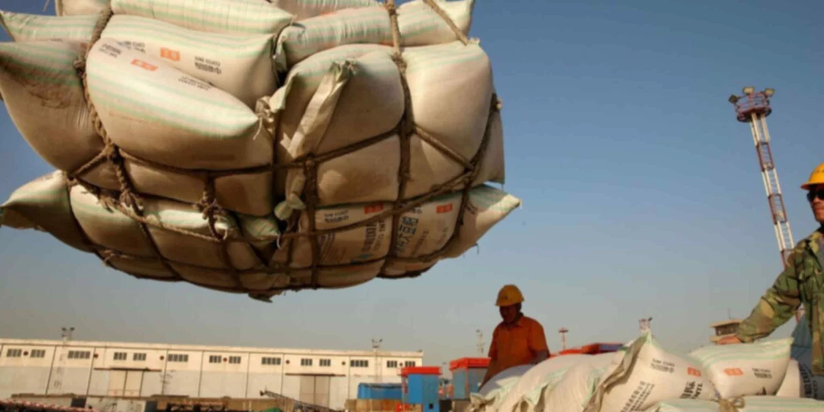 China’s Surge in U.S. Soybean Purchases Lifts Prices and Shapes Agricultural Landscape