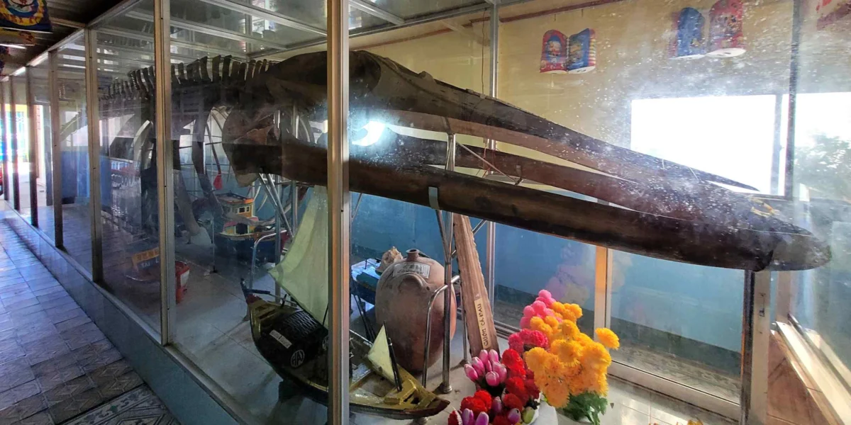 Coastal Shrines Unite Centuries-Old Tradition with Modern Research