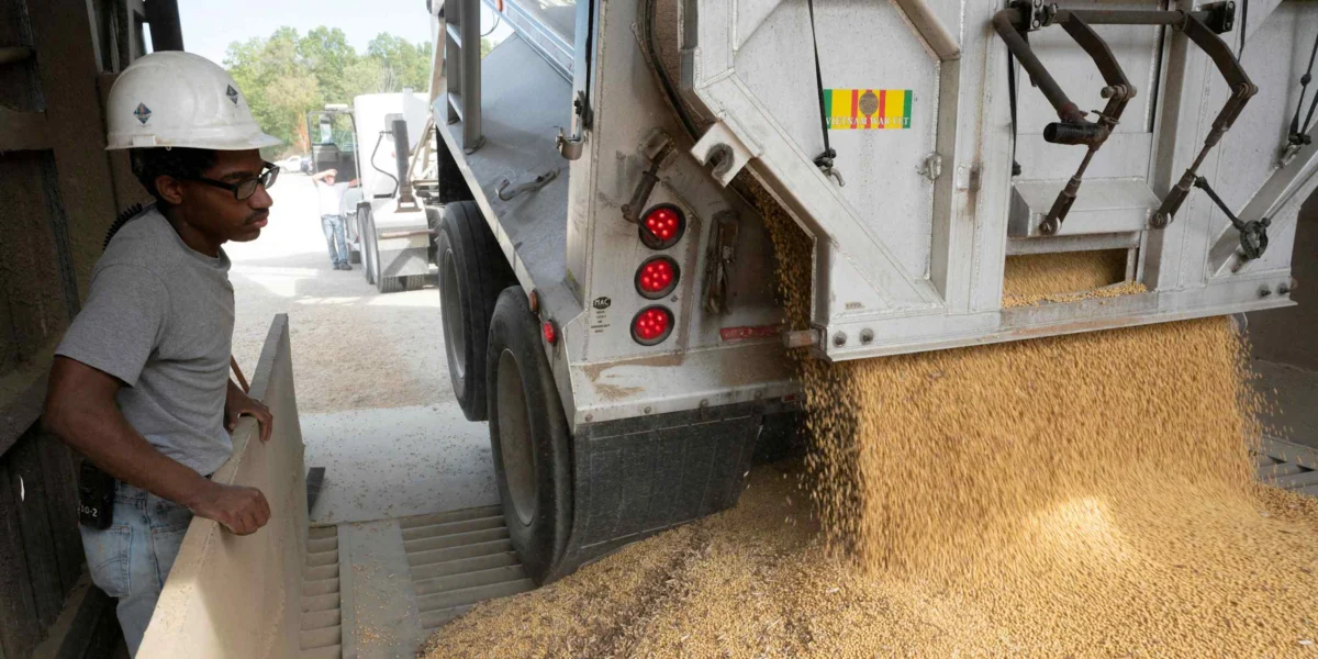 US soybeans excluded from tariff talks, but not yet off the table